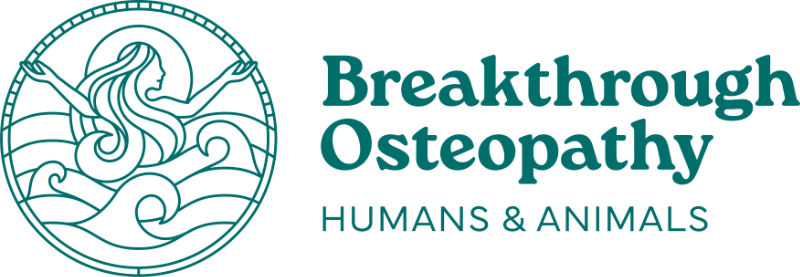 Breakthrough Osteopathy